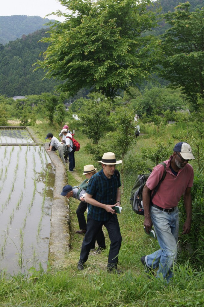 Hailstones hunting down haiku in Ohara, Kyoto, June 2010